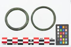Foto von Bronzering (NHMW-PRAE-025689)